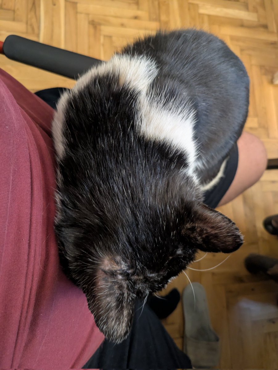 Nikita Akilov tweet media