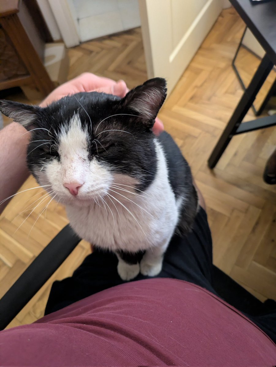 Nikita Akilov tweet media