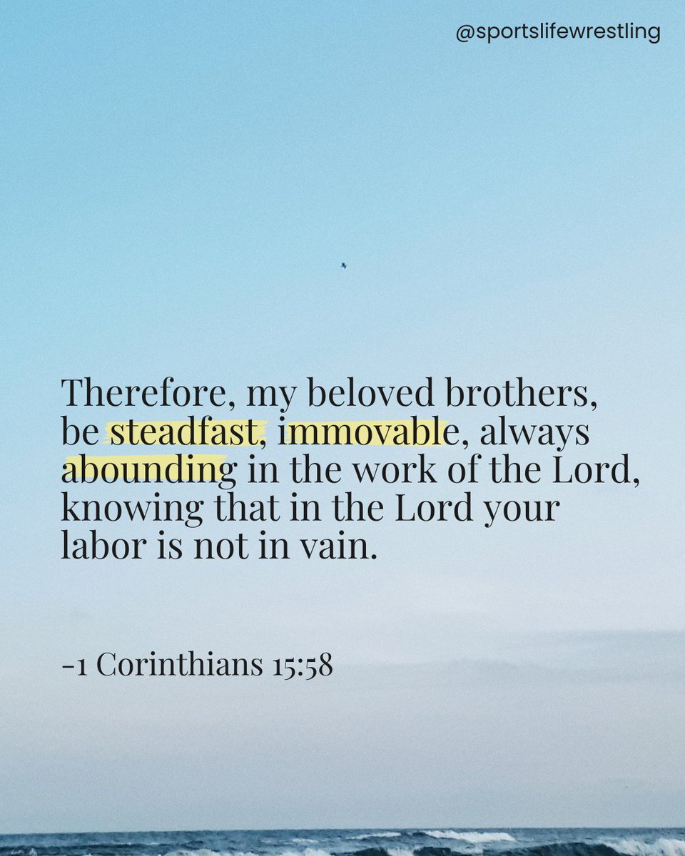 SportsLife Wrestling tweet media