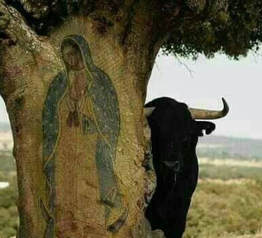 Nuestra Señora de Guadalupe.