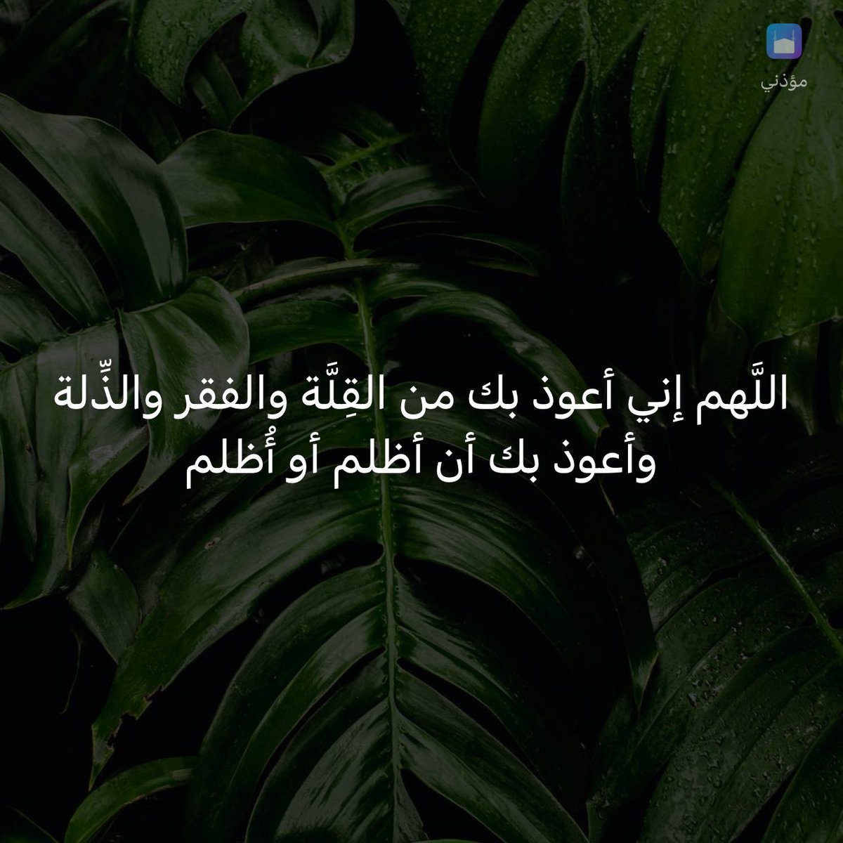 وذكِّر tweet media