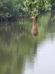 Alerta Noticias tweet media