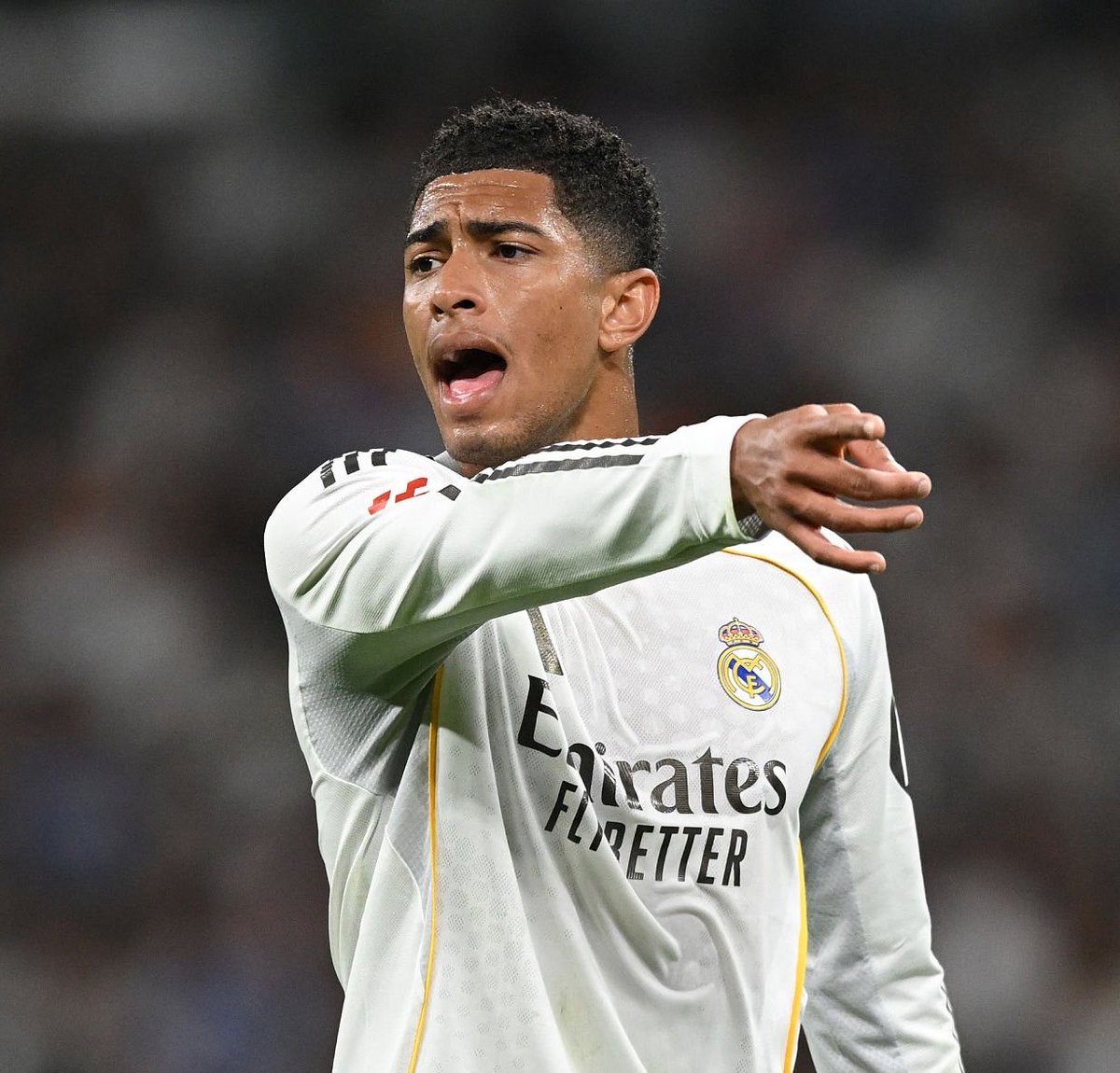 شبكة RM4Arab tweet media