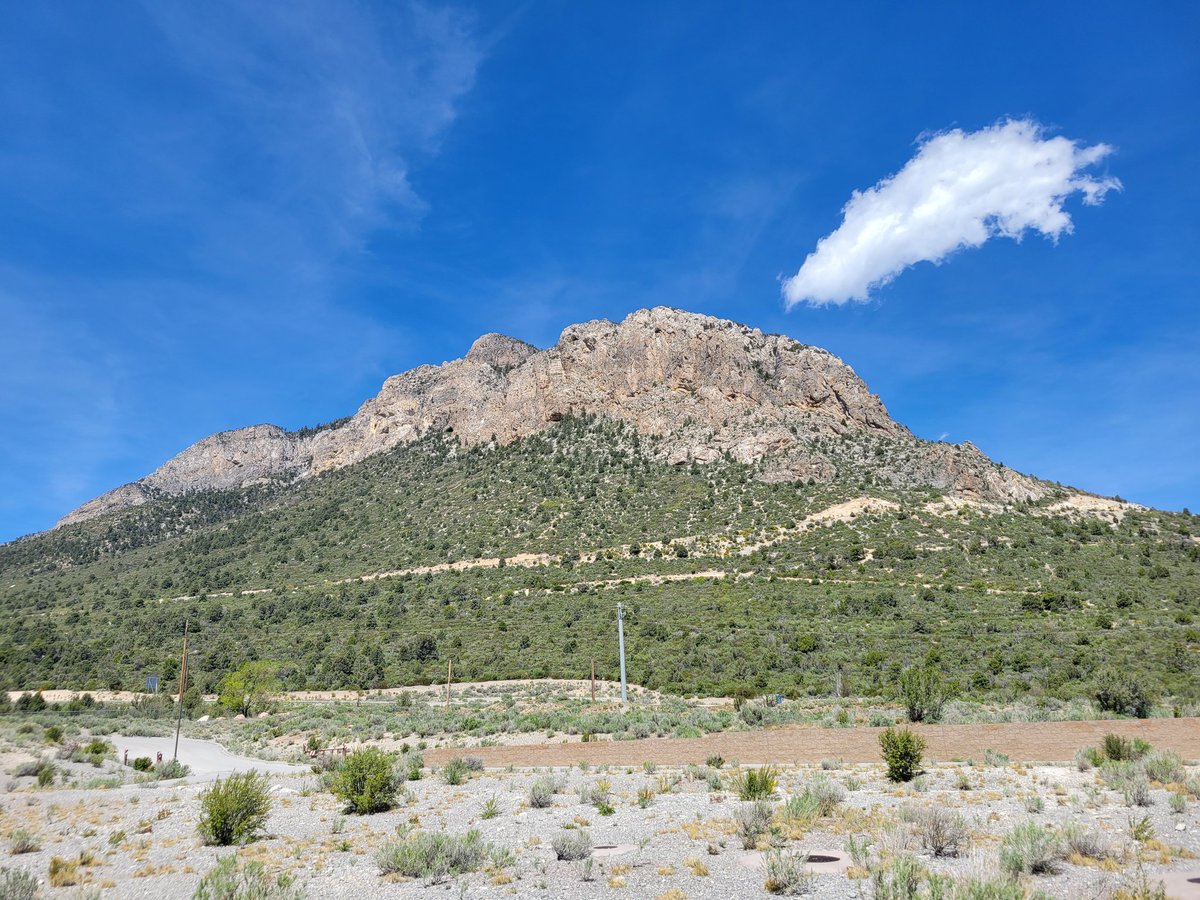 poopfighter1358 tweet media