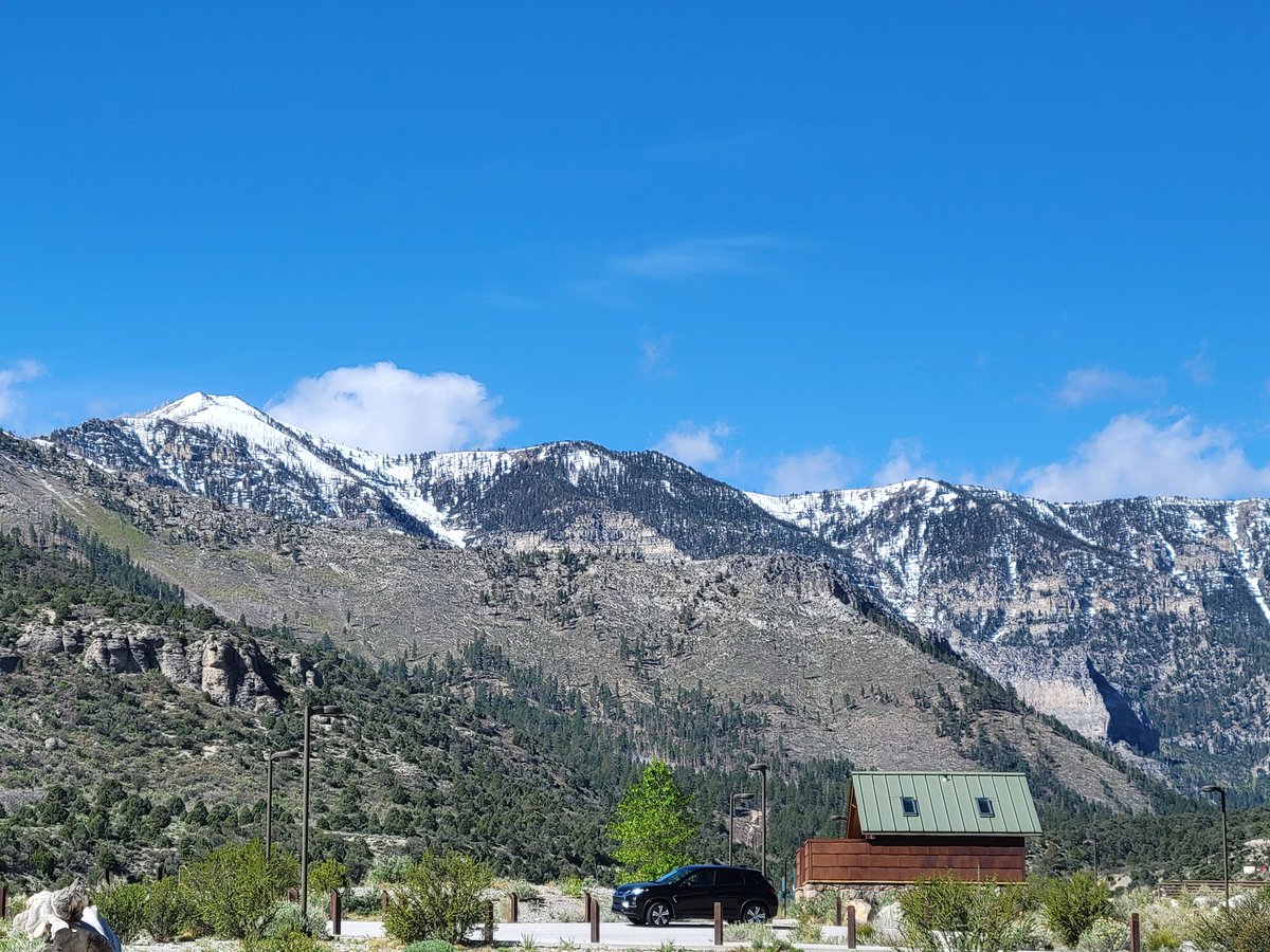 poopfighter1358 tweet media