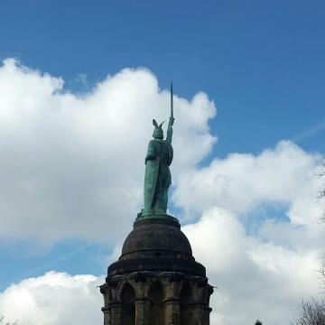 earlybird tweet media