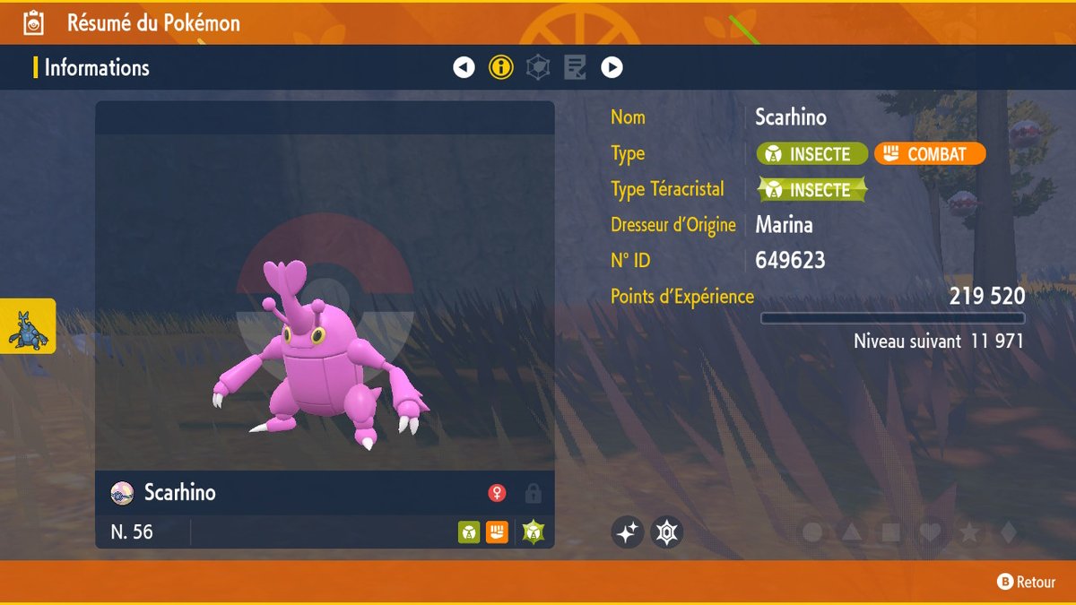 LuluTheRito tweet media