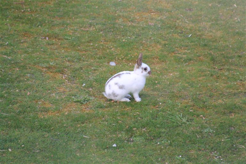 Paulus de camping kabouter. tweet media