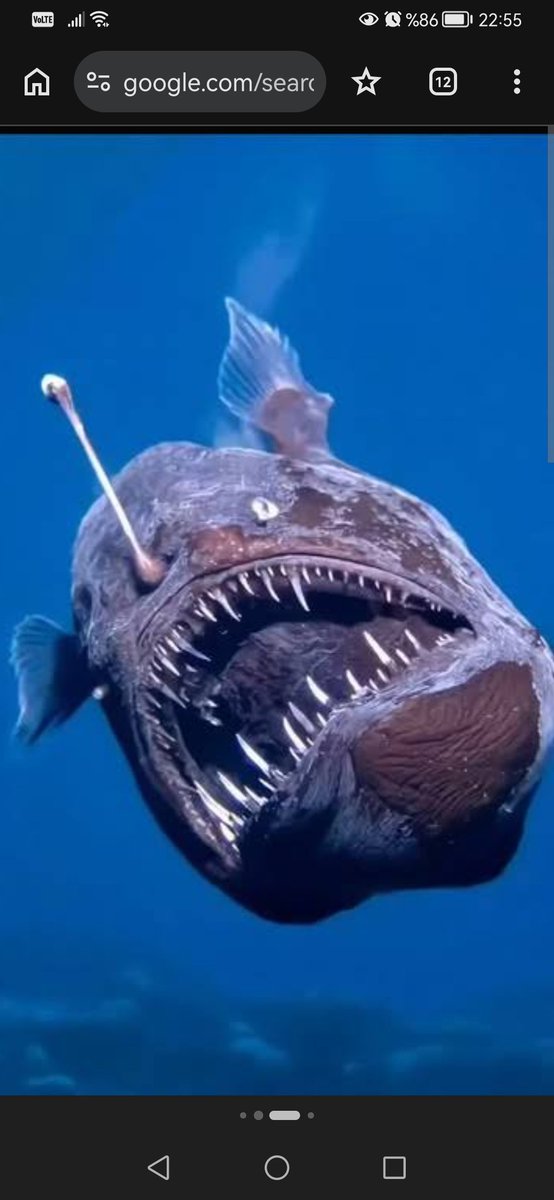 Mehmet G. tweet media