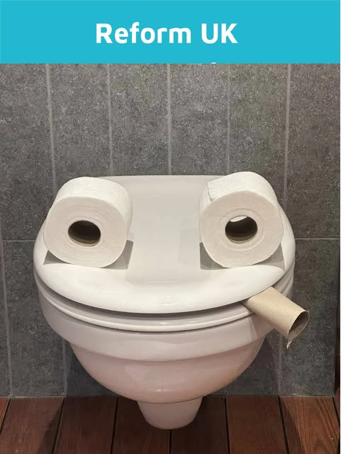 dave lawrence 🐟🐟🐠 tweet media