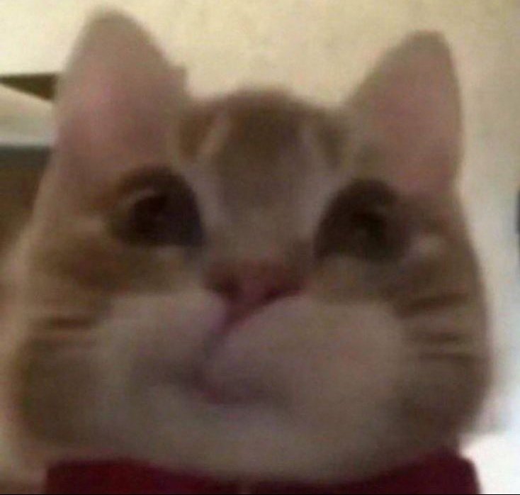 Connie's Conundrums tweet media