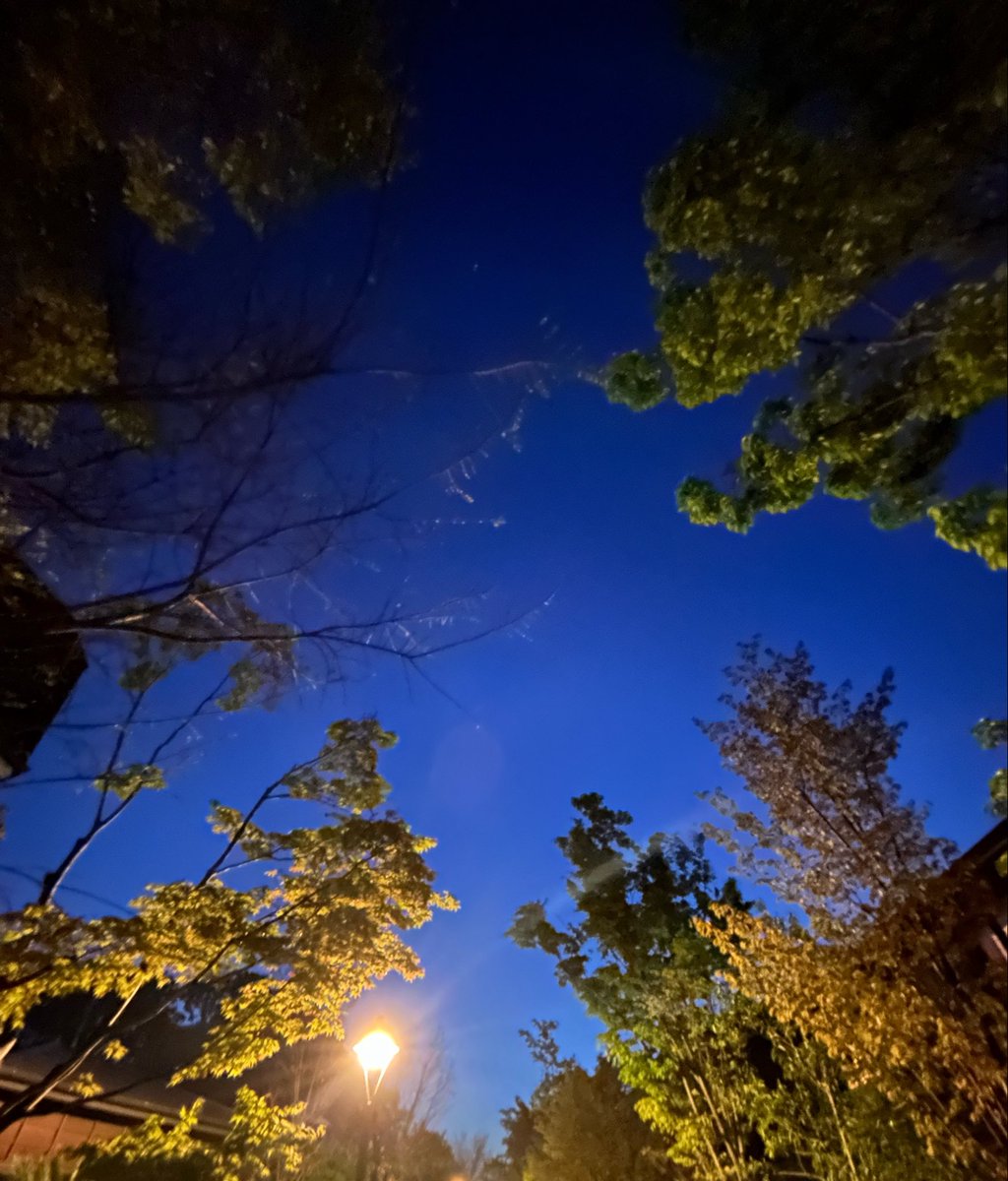 つよぽん tweet media