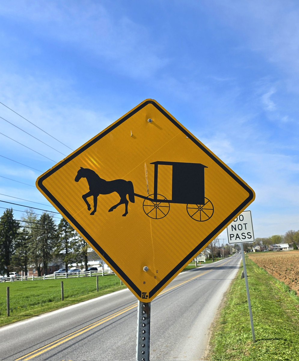 Sarah Zee tweet media