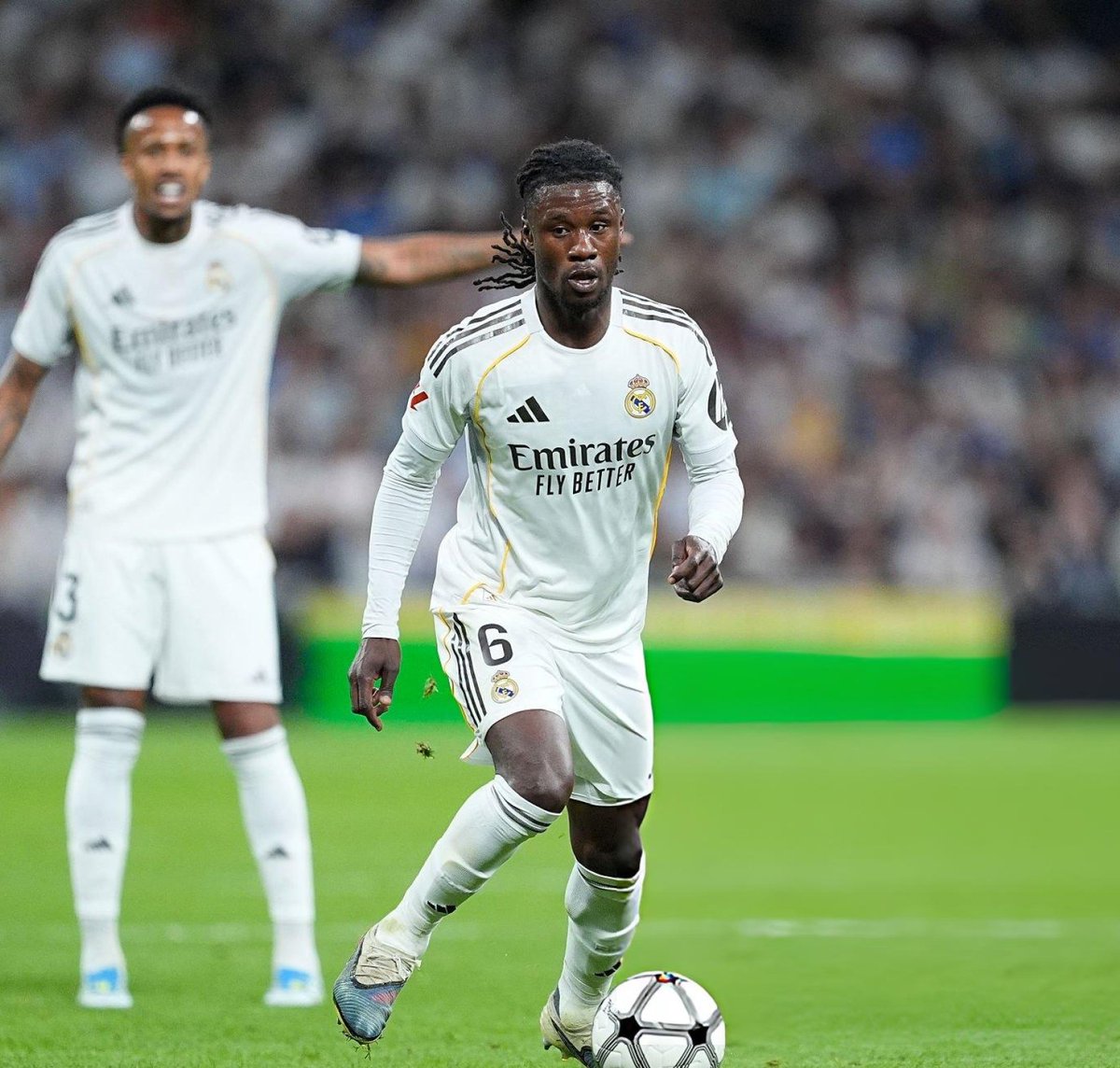 (fan) REAL MADRID FANS 🤍 tweet media