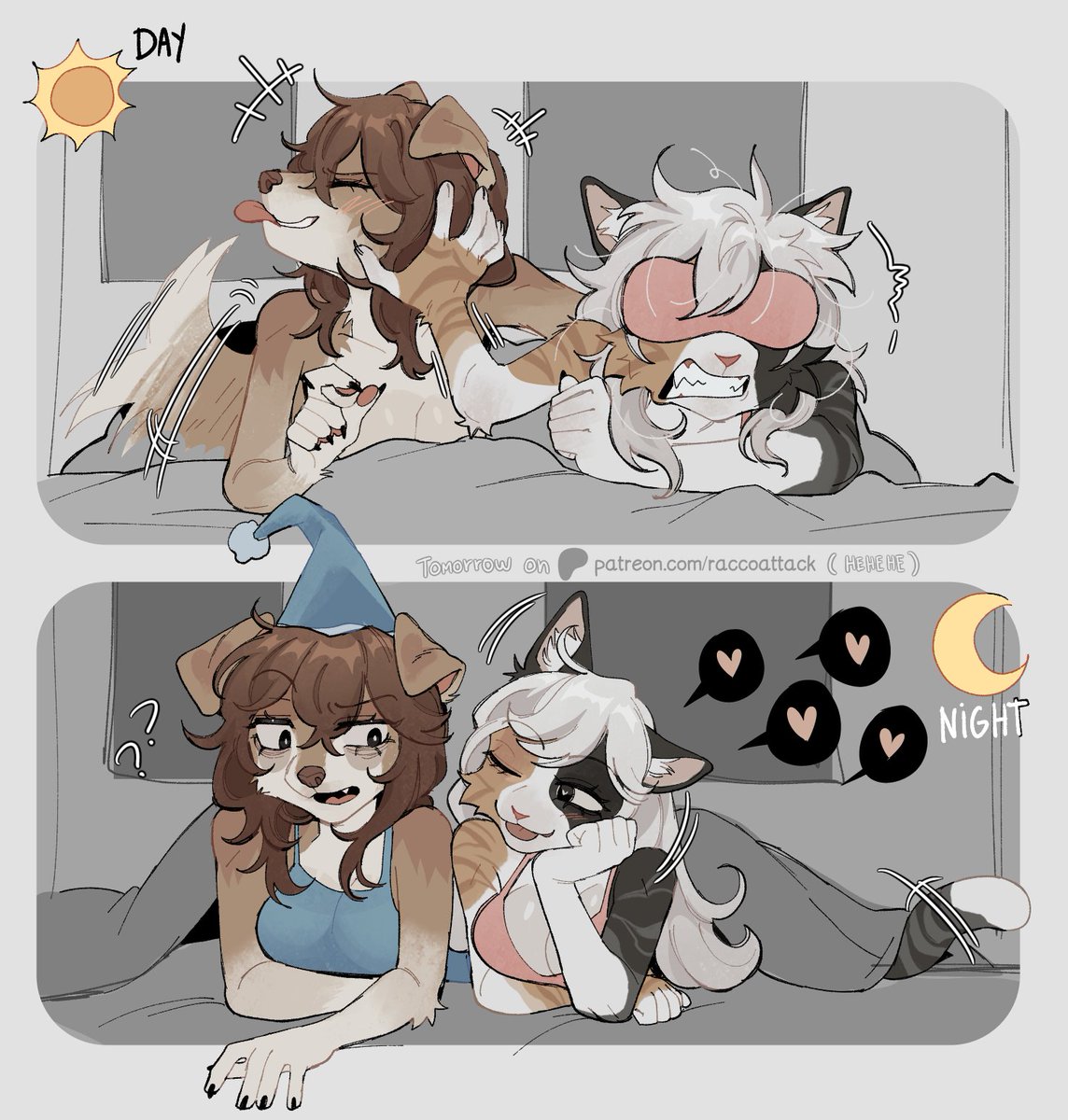 racc ⚢ tweet media