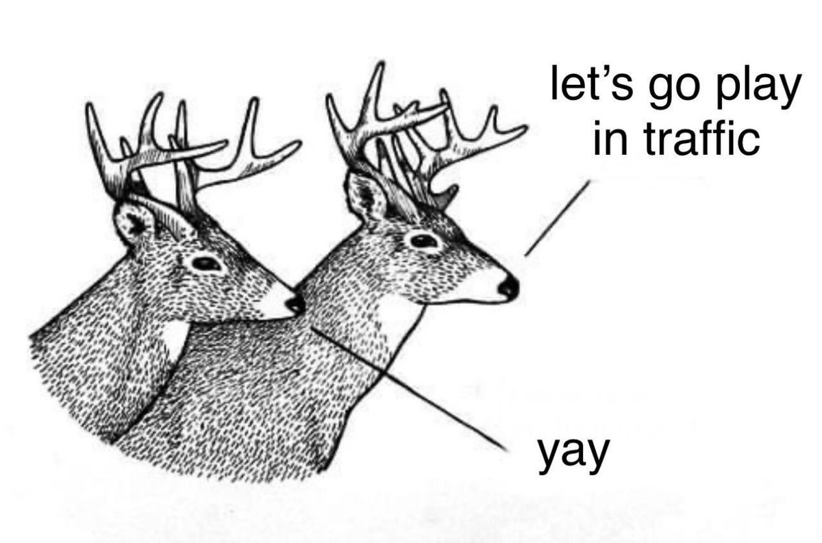 deershouldnt's tweet image. I think about this often

It truly speaks to the soul
#deer