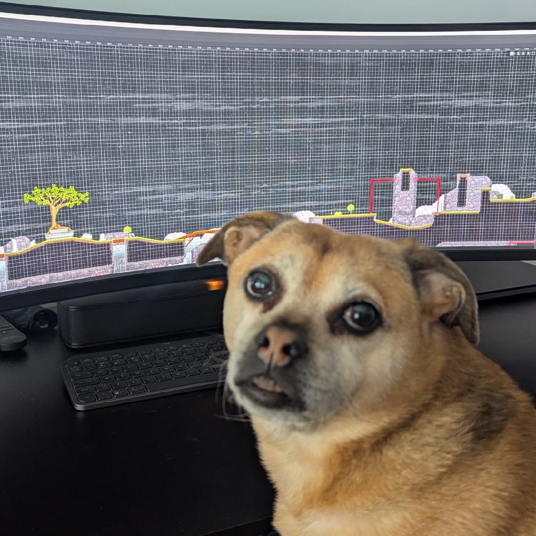 Soulo Games | HAMISH tweet media