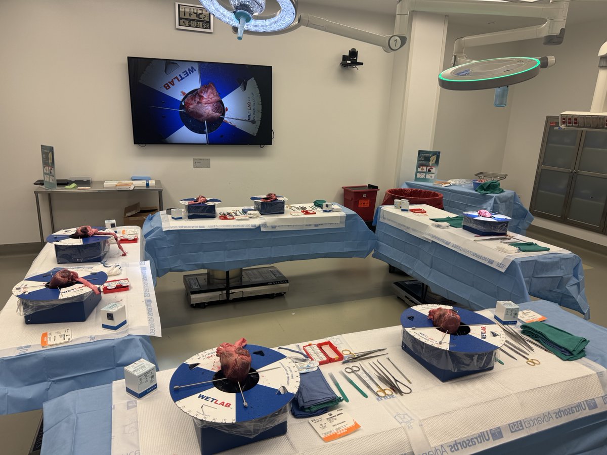 DeBakey CV Education - World Class CV Training tweet media