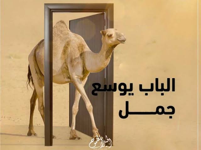 فرانك شعيب كيسيه النّخبوي tweet media