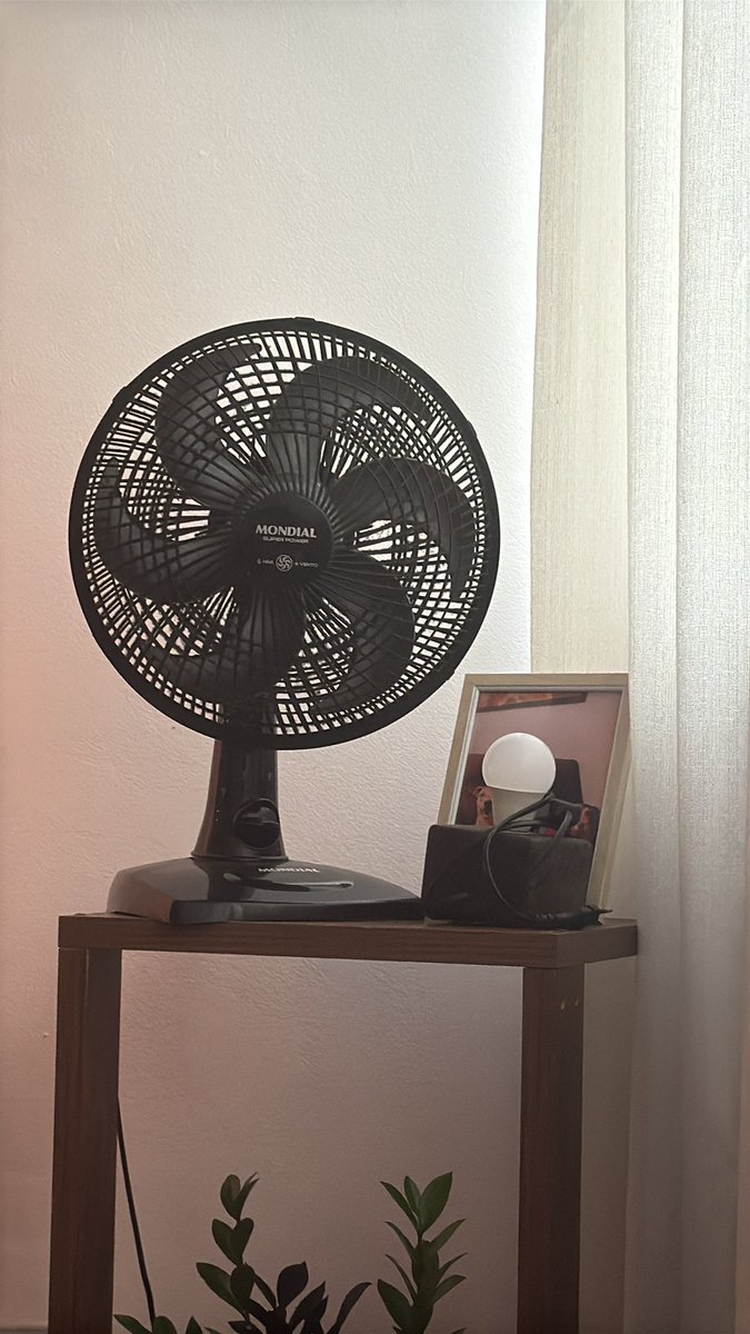 amanda melo tweet media