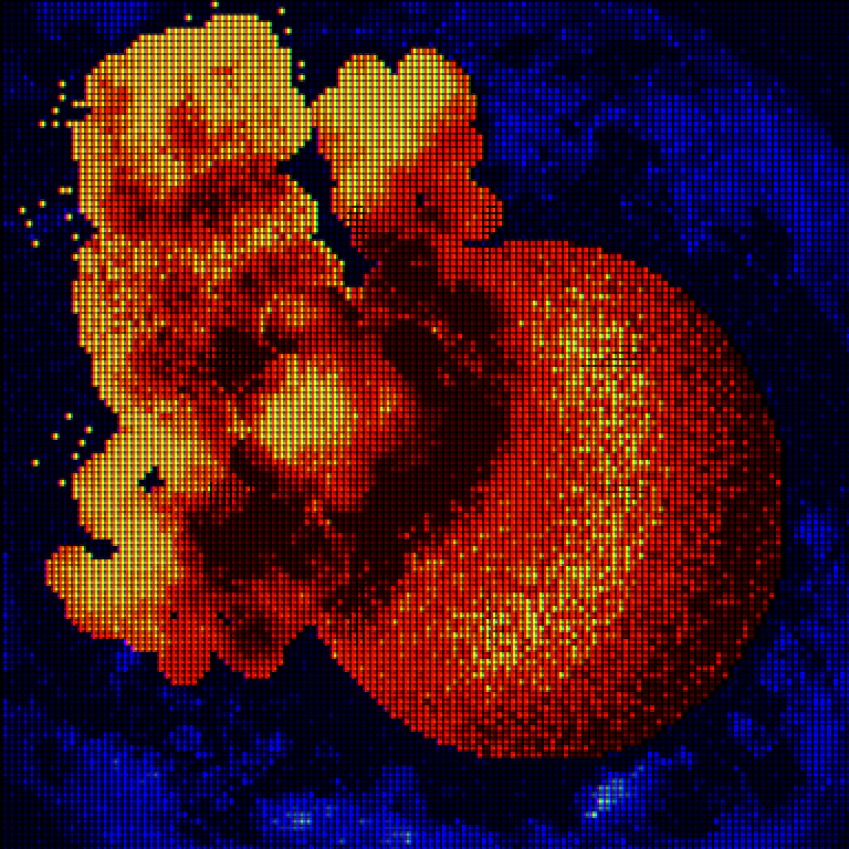 GINGINSHAAN's tweet photo. #digitalart #pixelart https://t.co/JuV7Ux78Ya