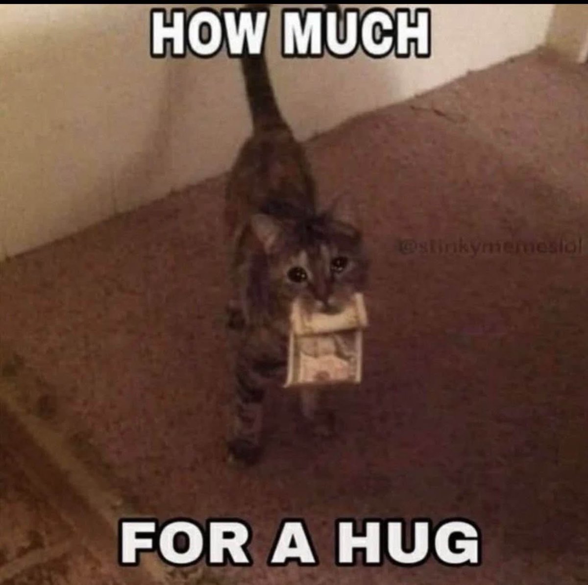 Funny Furry tweet media