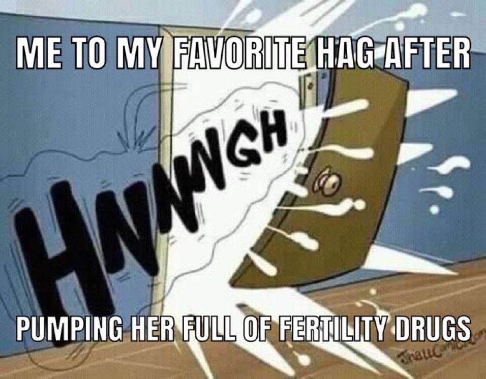 Percivilliam 😈🐉😎 tweet media