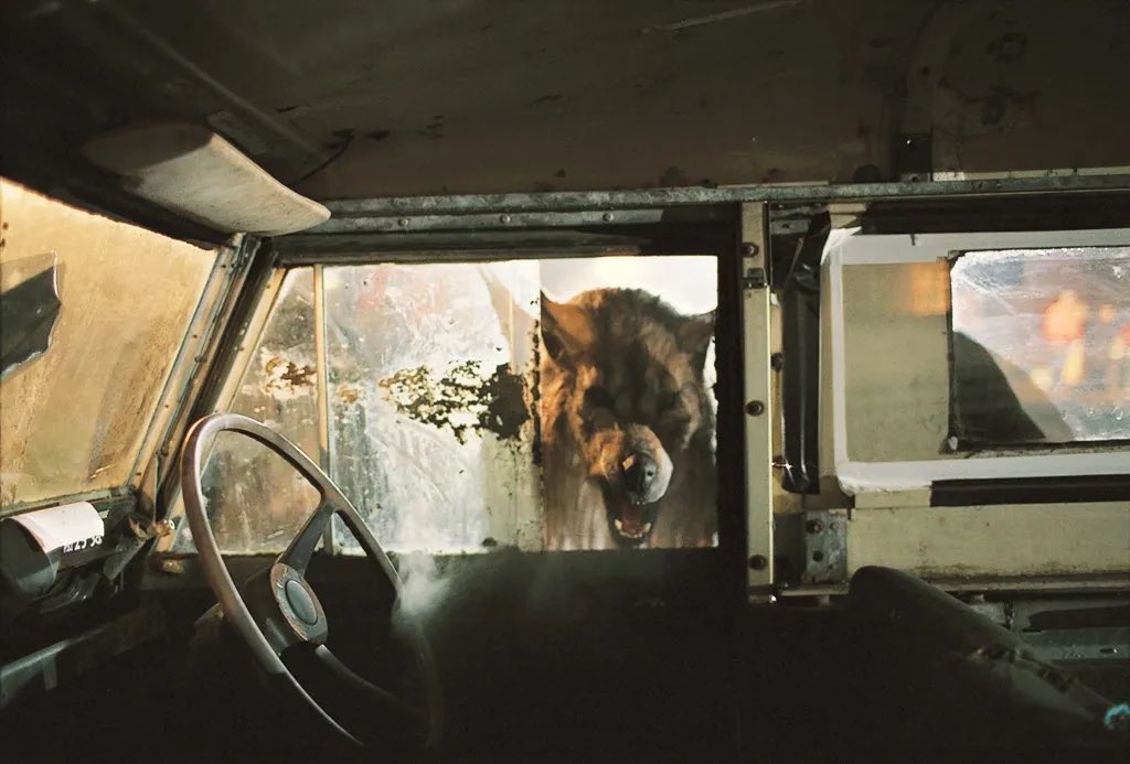 Bandolorian tweet media