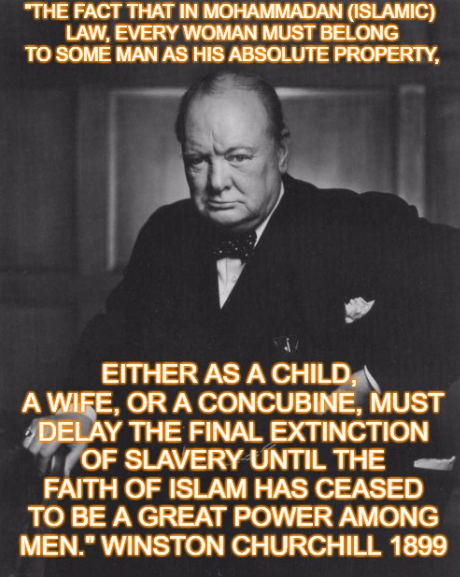 JustRashelle tweet media