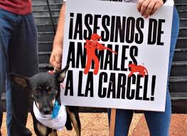 ninstructora2 tweet media