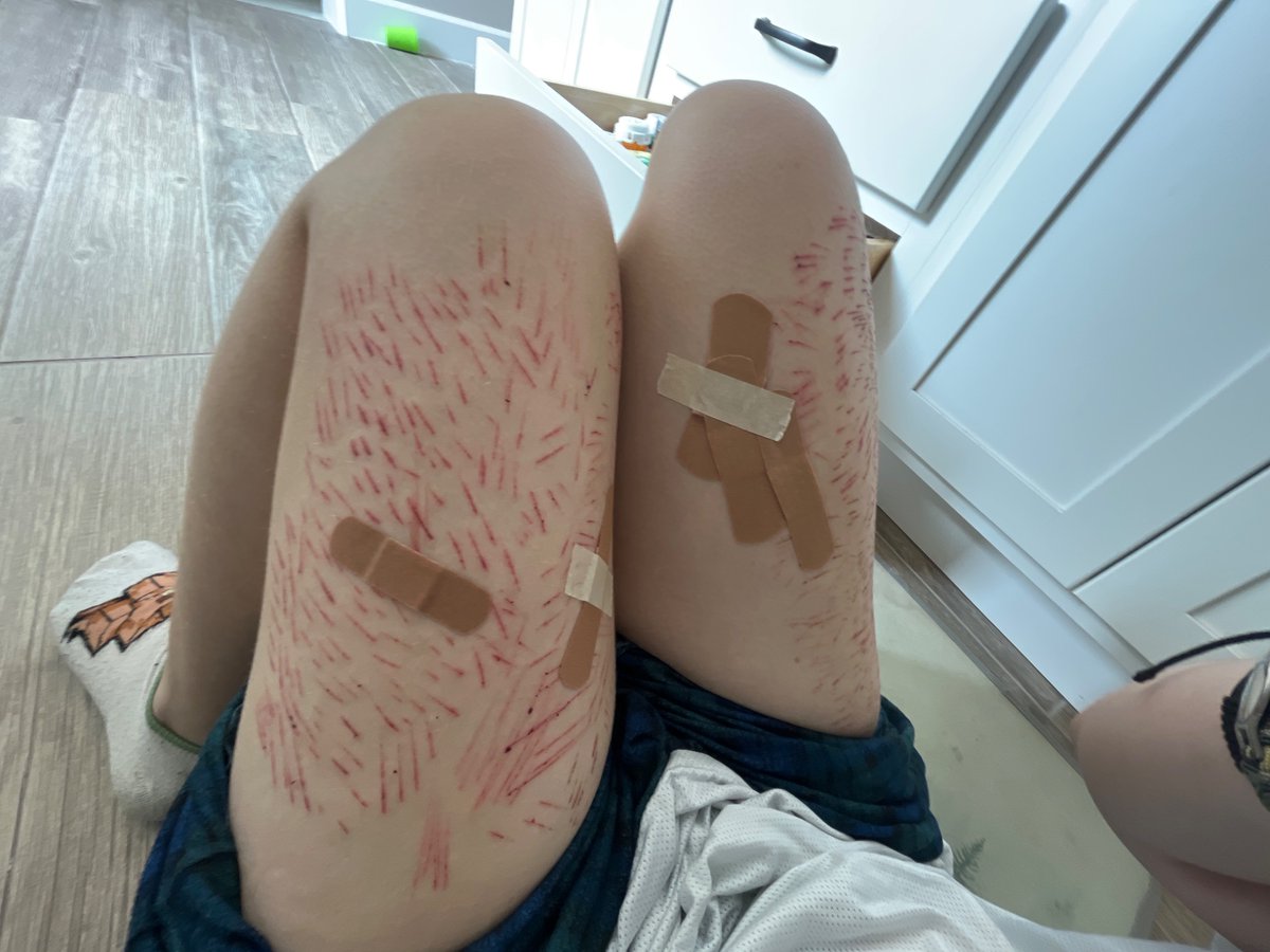 Dum pup of #shedtwt tweet media