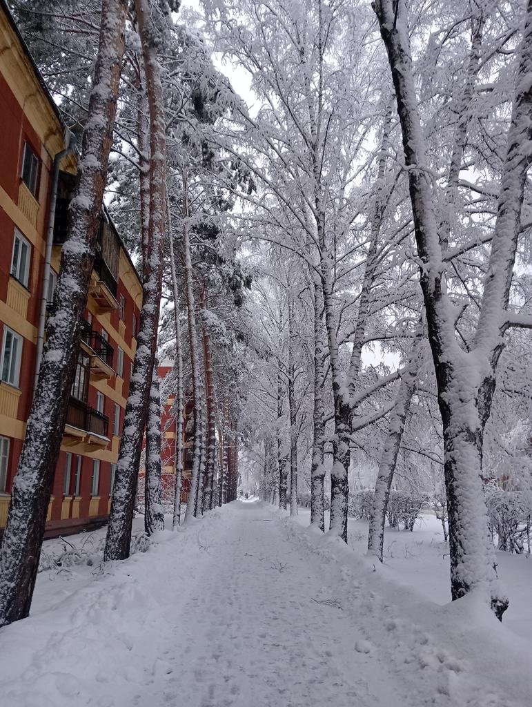 Как Лана дель Рей, только Поне дель ченко tweet media