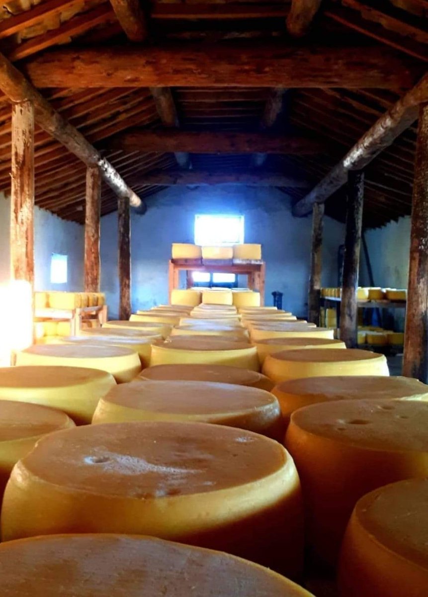 karstansiparis's tweet photo. 🔸Coğrafi işaretli Kars eski kaşar. 🐄🌿

🔸Yazın yaylalarda otlayan hayvanların sütünden yapılır.

🔸Süt, tuz ve mayadan ibaret. 🧀🐄 https://t.co/NOJvzE6YT9