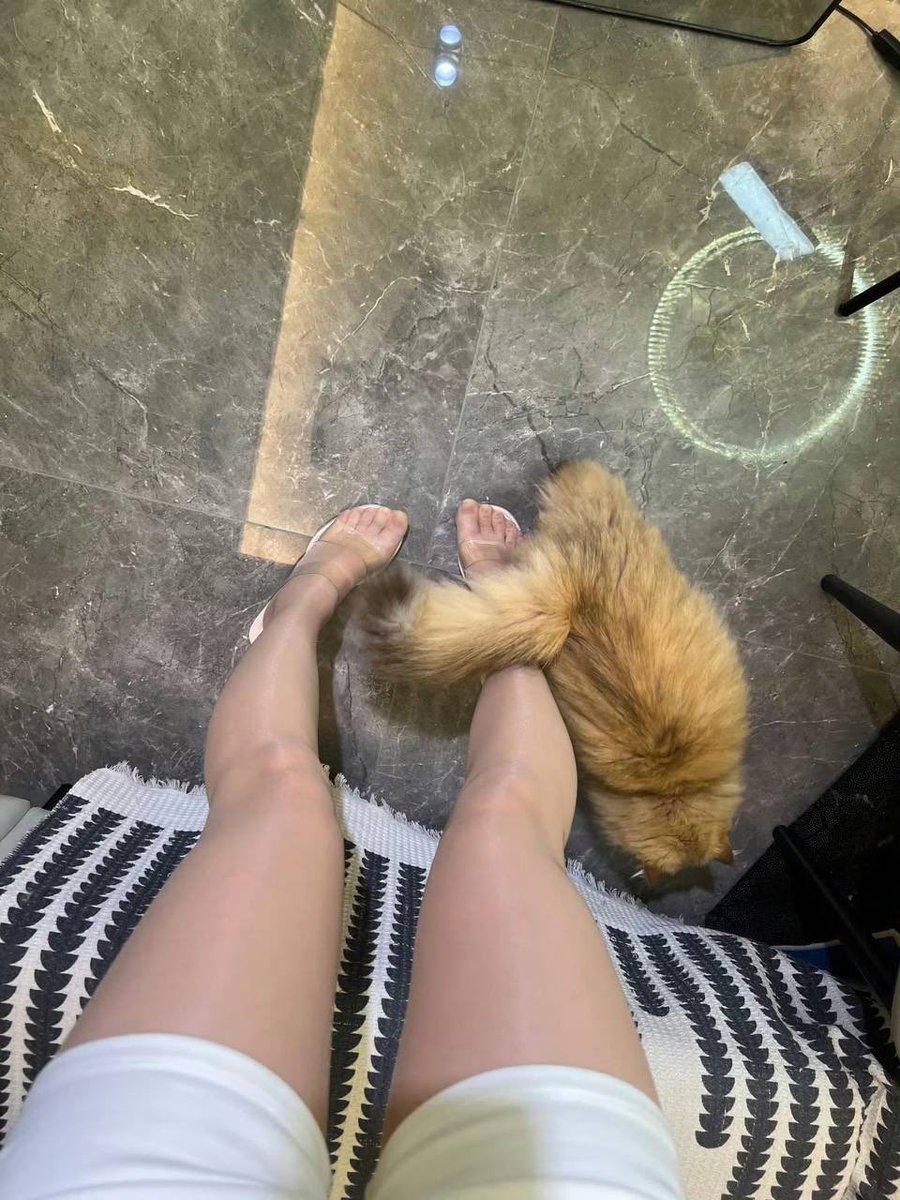 萝莉兔兔 tweet media