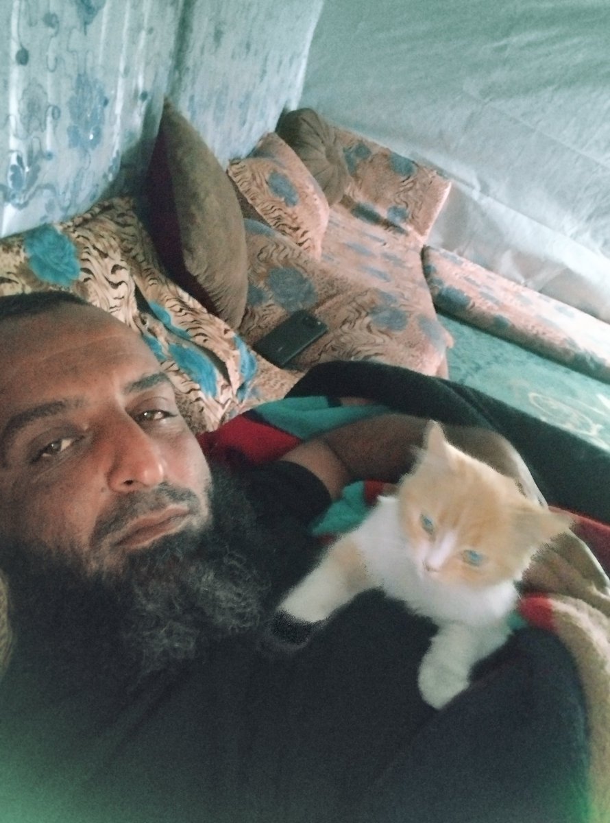 Murad40 allawh tweet media