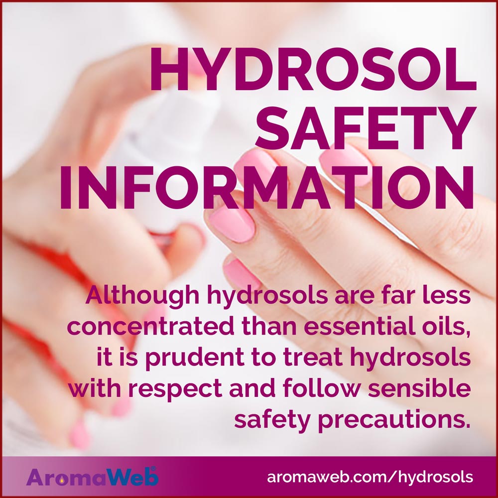 AromaWeb's tweet photo. Although hydrosols are far less concentrated than essential oils, it is prudent to treat hydrosols with respect and follow sensible safety precautions. Read these hydrosol safety tips and guidelines. 👉 https://t.co/h0mvs1hw6y https://t.co/ZFBLRu5OSW