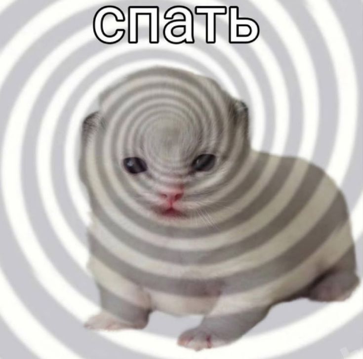 Я сегодня