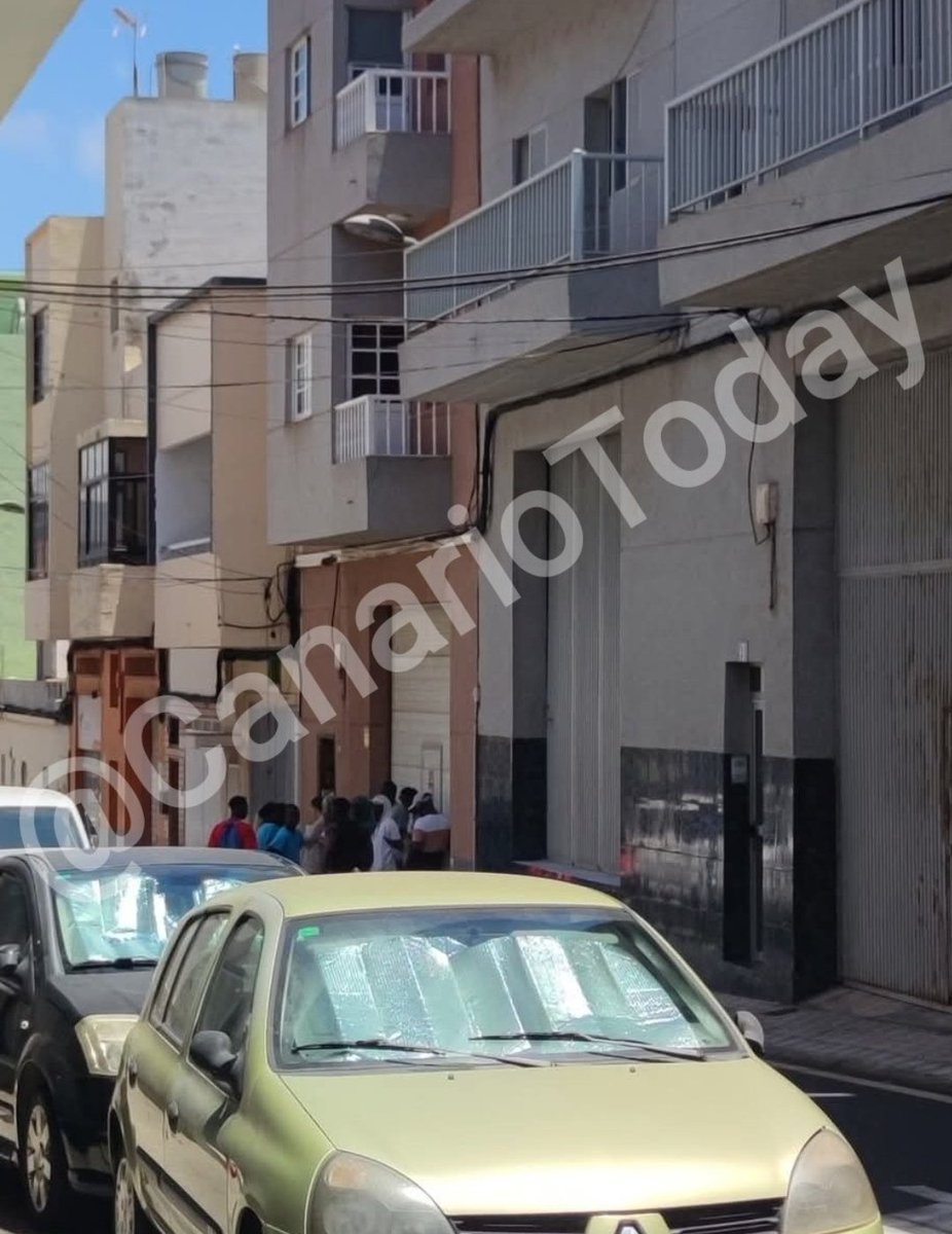 Canario Today tweet media