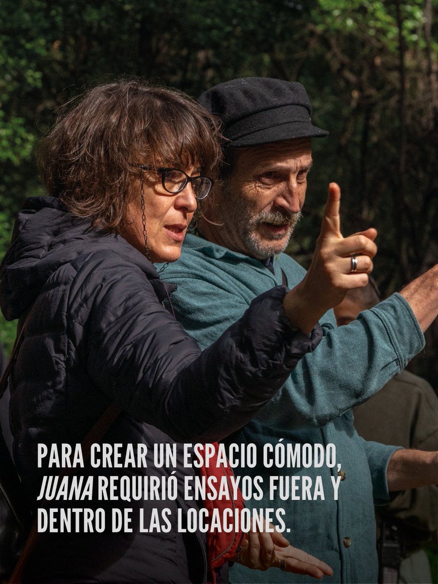 Talipot Studio tweet media