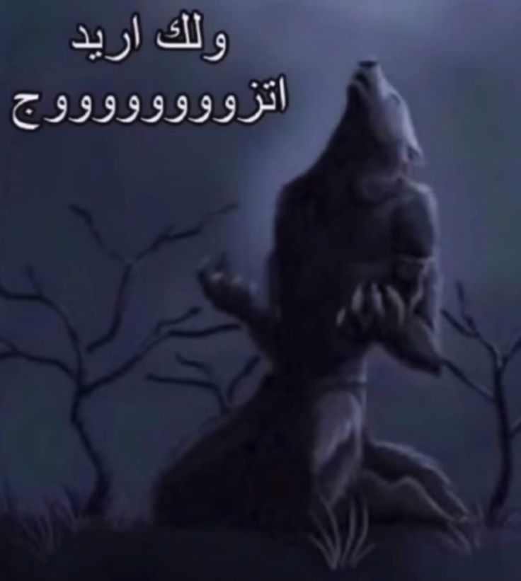 فاطمة tweet media