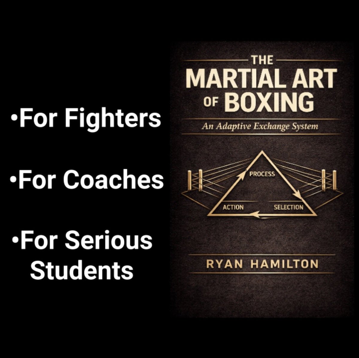Boxing Gems tweet media