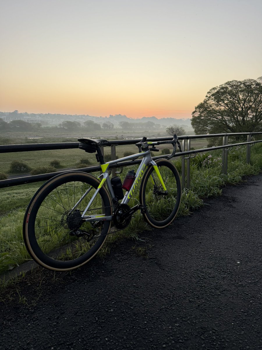 朝靄とフィランテ