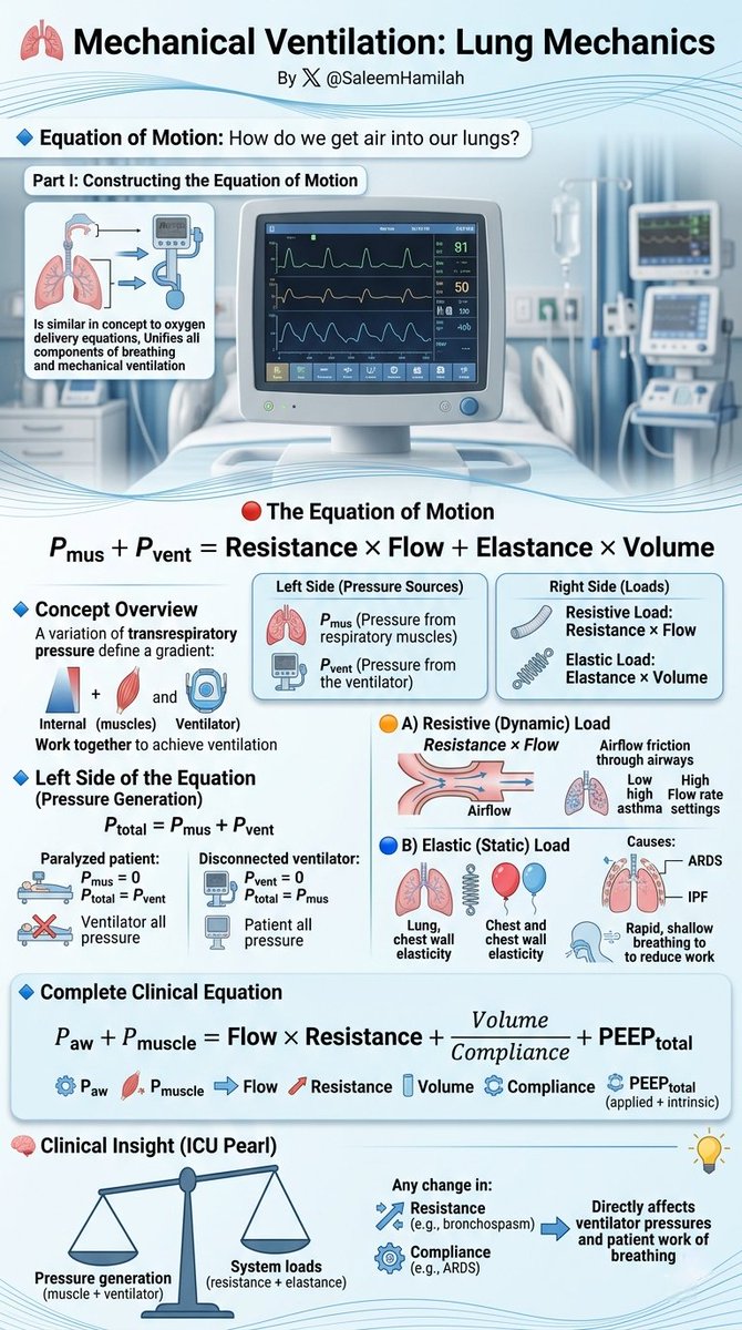 𝗦𝗮𝗹𝗲𝗲𝗺 𝗡. 𝗛𝗮𝗺𝗶𝗹𝗮𝗵, RT, MsRC 🫁 tweet media