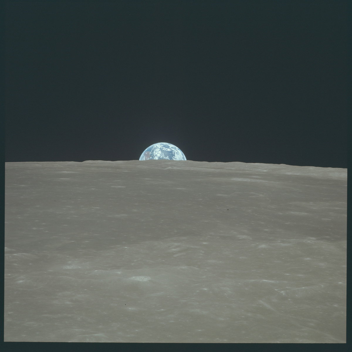 Friendly Fijian tweet media