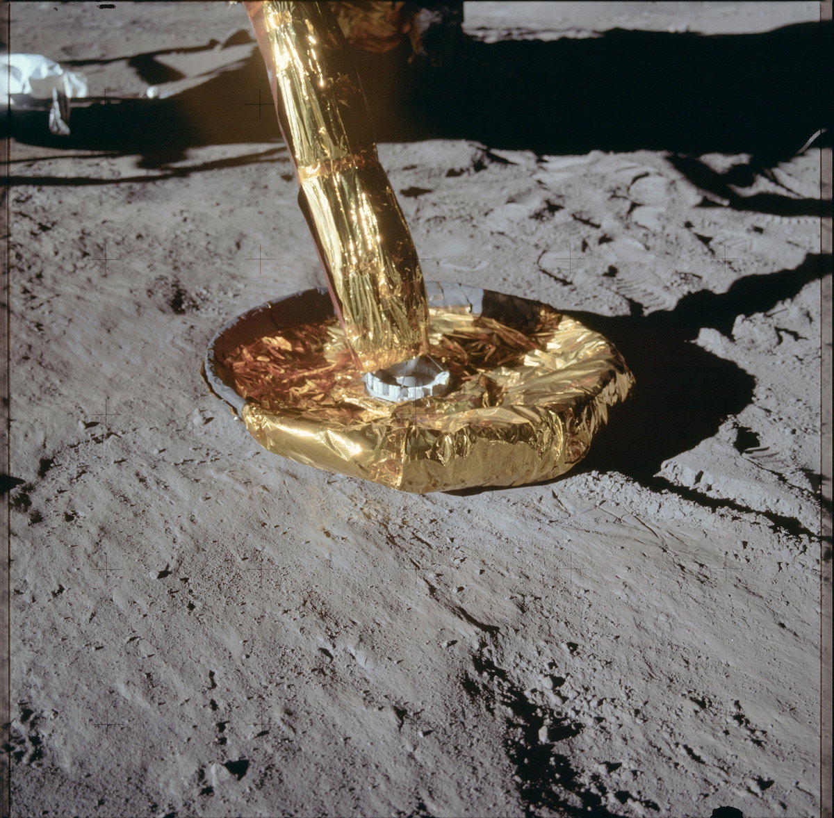 Friendly Fijian tweet media