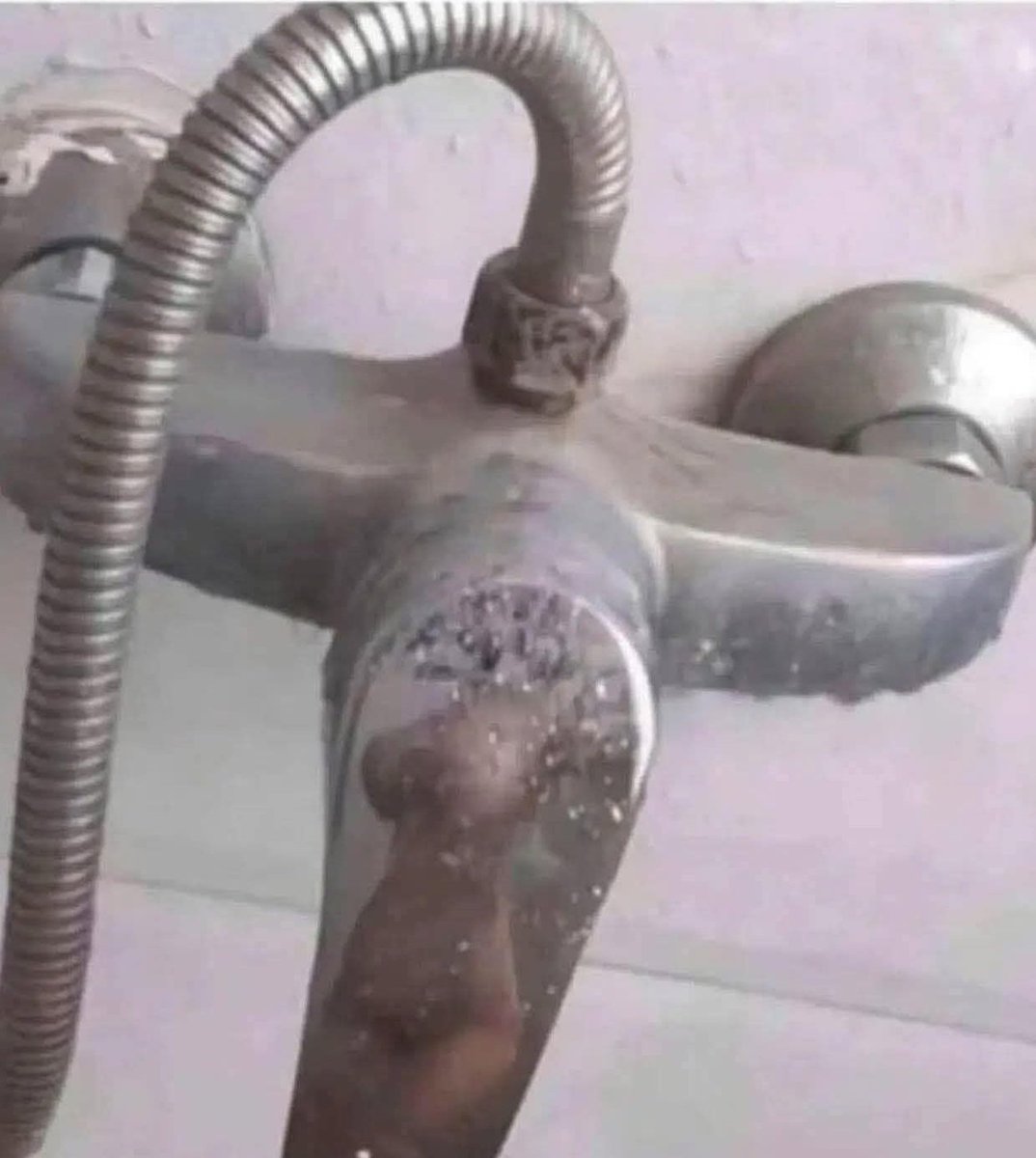 Far-Right-Floozy tweet media