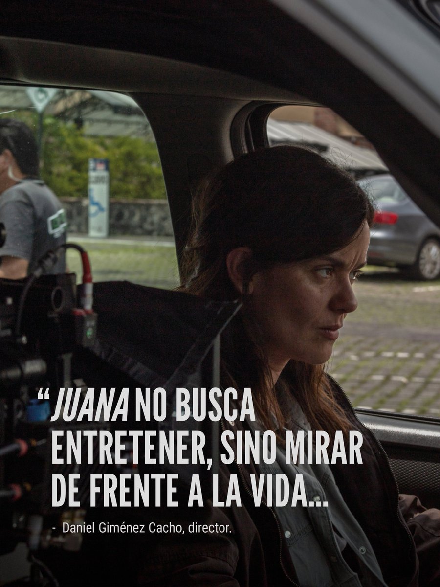 Talipot Studio tweet media