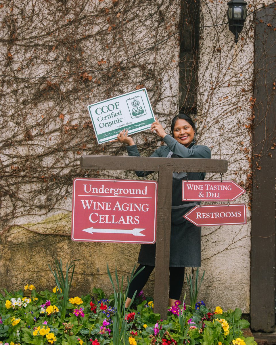 V. Sattui Winery tweet media