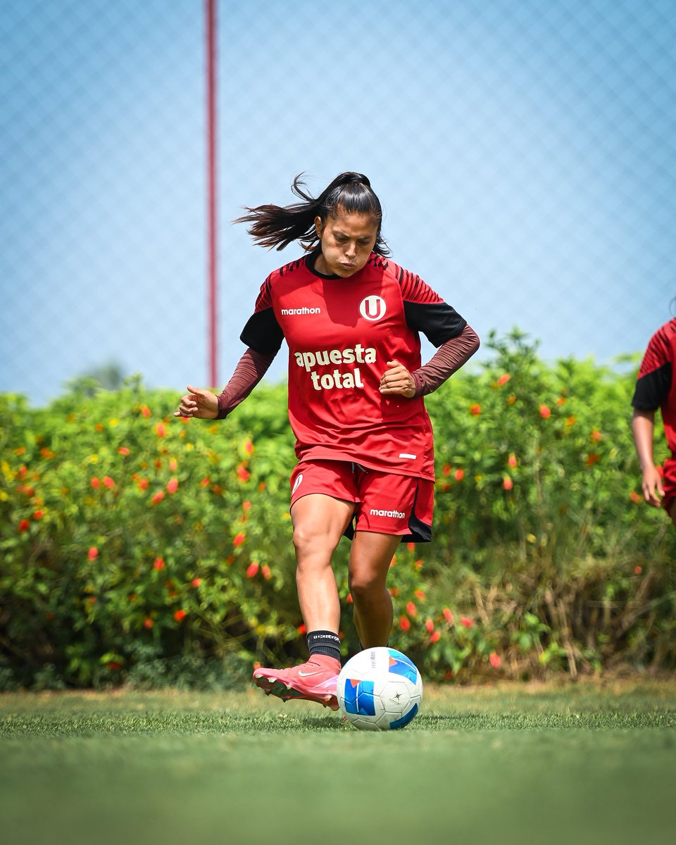 Fútbol Femenino de Universitario (@futfemeninou) on Twitter photo 