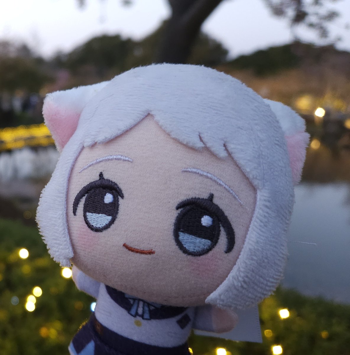 Camino_nuinui's tweet photo. うちの中では｢ぴゃ｣と呼称されています https://t.co/C3it4ZyqWX